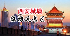 大鸡巴逼,播放中国陕西-西安城墙旅游风景区